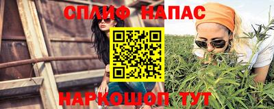 mdpv Малоярославец