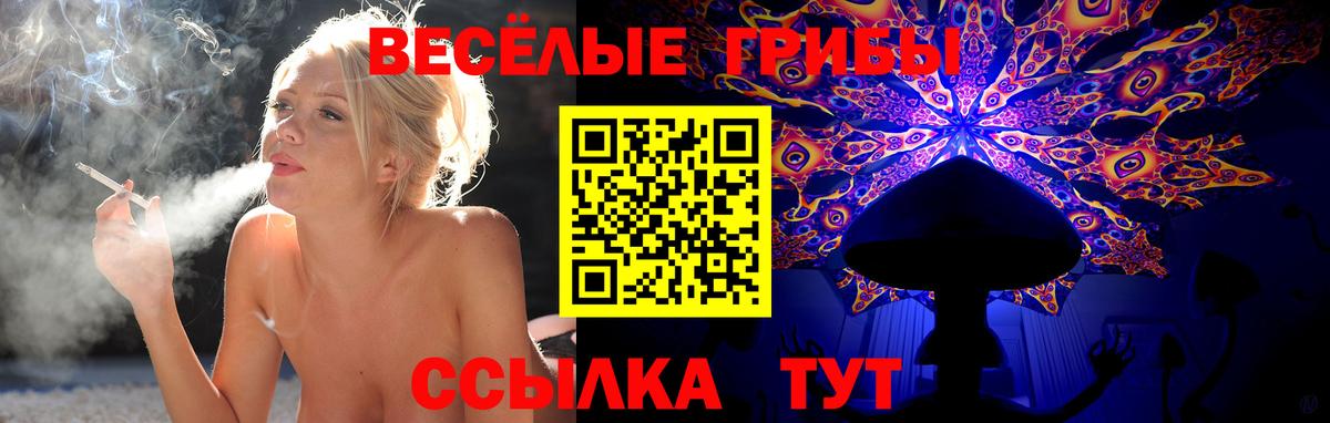 Шебекино  Псилоцибиновые грибы Psilocybine cubensis  Вход с VPN  Псилоцибиновые грибы MAGIC MUSHROOMS 