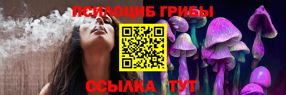 Псилоцибиновые грибы мухоморы  Шебекино  Галлюциногенные грибы Psilocybe 