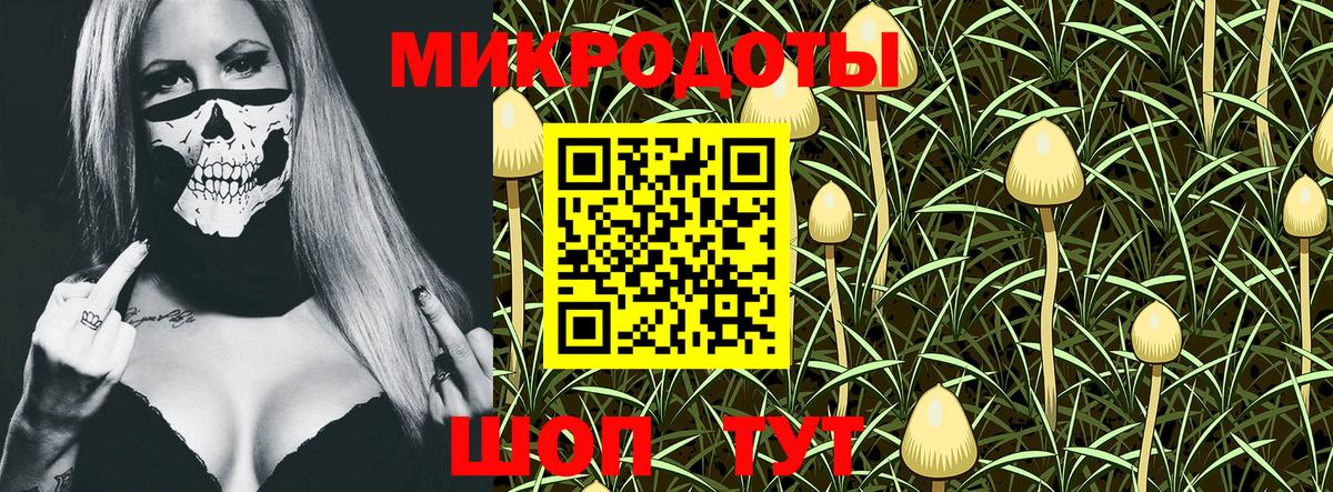 Псилоцибиновые грибы Magic Shrooms Шебекино